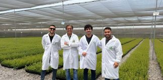 Grupos Hijuelas y Vitácea Brasil unen fuerzas para dar partida una nueva era para la fruticultura brasileña