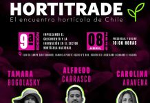 HortiTrade 2026 pone el foco en las experiencias que están transformando la horticultura en O’Higgins