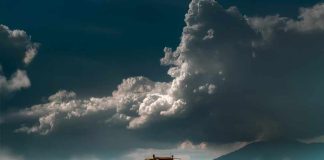 II Expo Agro Champion: más tecnología y más soluciones para el agro