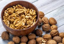 Industria chilena de la nuez proyecta una cosecha cercana a 165 mil toneladas y entra a temporada con foco en mercado y calidad