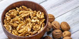 Industria chilena de la nuez proyecta una cosecha cercana a 165 mil toneladas y entra a temporada con foco en mercado y calidad