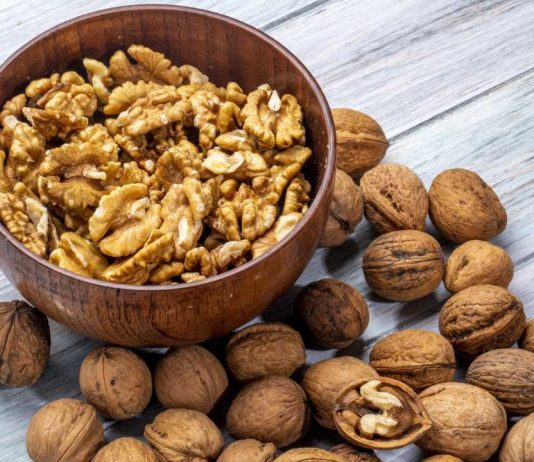 Industria chilena de la nuez proyecta una cosecha cercana a 165 mil toneladas y entra a temporada con foco en mercado y calidad Industria chilena de la nuez proyecta una cosecha cercana a 165 mil toneladas y entra a temporada con foco en mercado y calidad