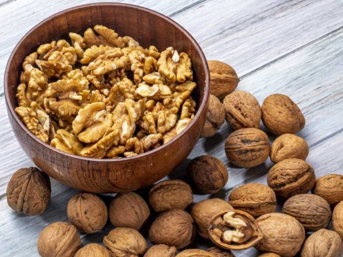 Industria chilena de la nuez proyecta una cosecha cercana a 165 mil toneladas y entra a temporada con foco en mercado y calidad Industria chilena de la nuez proyecta una cosecha cercana a 165 mil toneladas y entra a temporada con foco en mercado y calidad