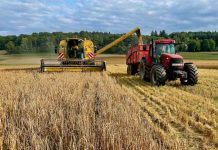 Informe detecta alza sostenida en el valor de tierra agrícola en Biobío y La Araucanía Informe detecta alza sostenida en el valor de tierra agrícola en Biobío y La Araucanía