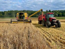 Informe detecta alza sostenida en el valor de tierra agrícola en Biobío y La Araucanía