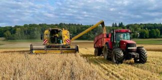 Informe detecta alza sostenida en el valor de tierra agrícola en Biobío y La Araucanía Informe detecta alza sostenida en el valor de tierra agrícola en Biobío y La Araucanía