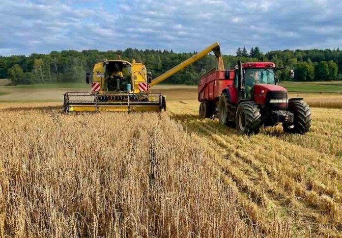 Informe detecta alza sostenida en el valor de tierra agrícola en Biobío y La Araucanía Informe detecta alza sostenida en el valor de tierra agrícola en Biobío y La Araucanía