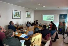 Innovación, datos sectoriales y articulación marcan nueva Gobernanza del PTI de la Carne Bovina Los Lagos