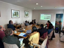 Innovación, datos sectoriales y articulación marcan nueva Gobernanza del PTI de la Carne Bovina Los Lagos Innovación, datos sectoriales y articulación marcan nueva Gobernanza del PTI de la Carne Bovina Los Lagos