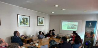 Innovación, datos sectoriales y articulación marcan nueva Gobernanza del PTI de la Carne Bovina Los Lagos Innovación, datos sectoriales y articulación marcan nueva Gobernanza del PTI de la Carne Bovina Los Lagos