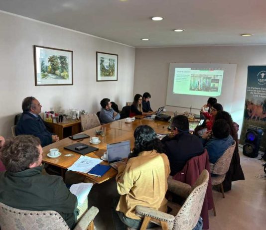 Innovación, datos sectoriales y articulación marcan nueva Gobernanza del PTI de la Carne Bovina Los Lagos