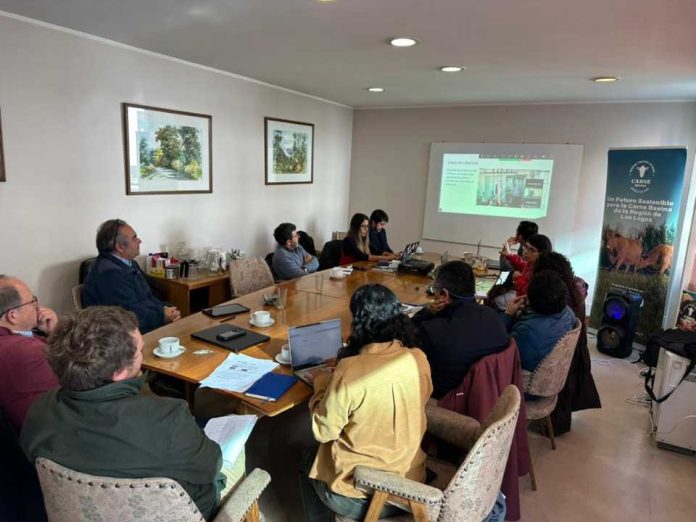 Innovación, datos sectoriales y articulación marcan nueva Gobernanza del PTI de la Carne Bovina Los Lagos Innovación, datos sectoriales y articulación marcan nueva Gobernanza del PTI de la Carne Bovina Los Lagos