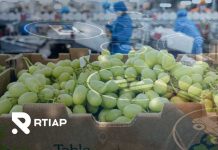 Tratamientos cuarentenarios y nuevo instructivo operacional de embarque SAG – USDA Tratamientos cuarentenarios y nuevo instructivo operacional de embarque SAG – USDA