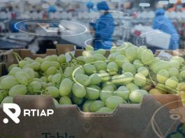 Tratamientos cuarentenarios y nuevo instructivo operacional de embarque SAG – USDA