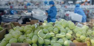 Tratamientos cuarentenarios y nuevo instructivo operacional de embarque SAG – USDA