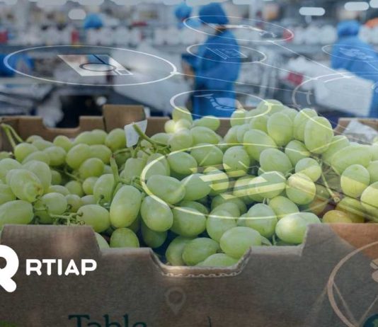 Tratamientos cuarentenarios y nuevo instructivo operacional de embarque SAG – USDA Tratamientos cuarentenarios y nuevo instructivo operacional de embarque SAG – USDA