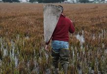 Internacional | Las perturbaciones derivadas de la guerra obligan a Asia Central a replantearse la agricultura y la seguridad alimentaria Internacional Las perturbaciones derivadas de la guerra obligan a Asia Central a replantearse la agricultura y la seguridad alimentaria