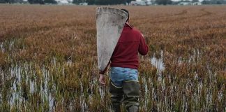 Noticia: Internacional | Las perturbaciones derivadas de la guerra obligan a Asia...