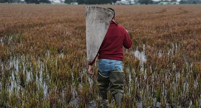 Internacional Las perturbaciones derivadas de la guerra obligan a Asia Central a replantearse la agricultura y la seguridad alimentaria Internacional Las perturbaciones derivadas de la guerra obligan a Asia Central a replantearse la agricultura y la seguridad alimentaria