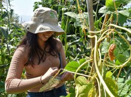 Investigación analiza la eficacia de saberes ancestrales y nuevas tecnologías como herramienta frente al cambio climático