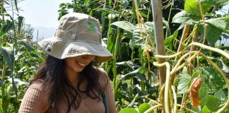 Investigación analiza la eficacia de saberes ancestrales y nuevas tecnologías como herramienta frente al cambio climático