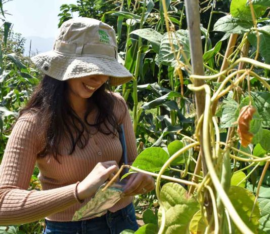 Investigación analiza la eficacia de saberes ancestrales y nuevas tecnologías como herramienta frente al cambio climático