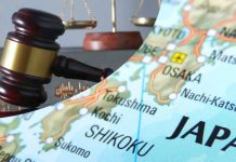 Japón blindará sus cultivos: Impulsa nueva ley de propiedad intelectual agrícola