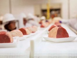 La UE publica el reglamento con las salvaguardas por el acuerdo con Mercosur para productos agrícolas sensibles La UE publica el reglamento con las salvaguardas por el acuerdo con Mercosur para productos agrícolas sensibles