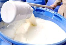 La regulación de precios asfixia el sector lechero en Bolivia La regulación de precios asfixia el sector lechero en Bolivia