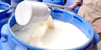 La regulación de precios asfixia el sector lechero en Bolivia