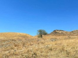 La sequía favorece la resistencia a los antibióticos de microorganismos en el suelo