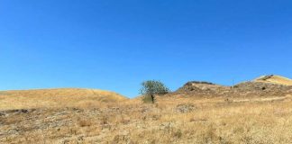 La sequía favorece la resistencia a los antibióticos de microorganismos en el suelo