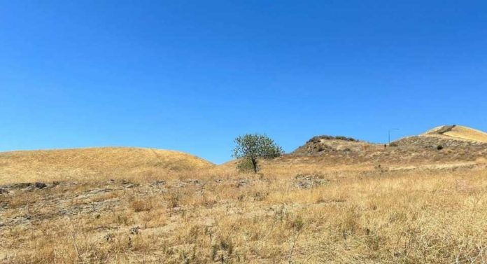 La sequía favorece la resistencia a los antibióticos de microorganismos en el suelo