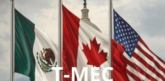 México y EE.UU. preparan revisión del T-MEC