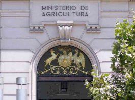Ministerio de Agricultura designa nuevos seremis para fortalecer gestión regional Ministerio de Agricultura, MINAGRI