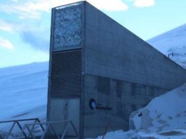 Noruega La Bóveda Global de Semillas de Svalbard en Noruega, protege las semillas que podrían sostener la comida del futuro