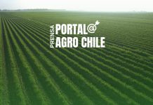 Noticias Prensa Portal Agro Chile