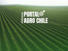 Noticias Prensa Portal Agro Chile