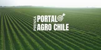 Noticias Prensa Portal Agro Chile