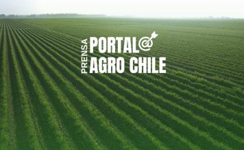 Noticias Prensa Portal Agro Chile