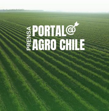 Reportaje | Anticipándose al riesgo: Plataforma PRACT impulsa la adaptación climática en la Cuenca del Aconcagua Noticias Prensa Portal Agro Chile