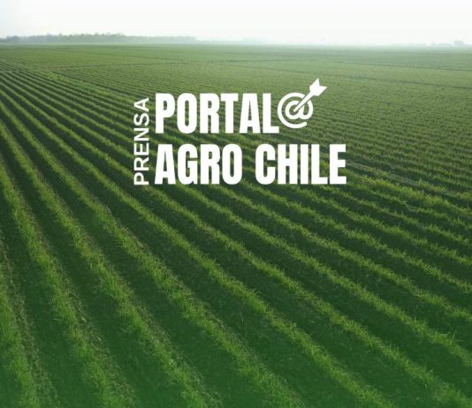 Noticias Prensa Portal Agro Chile