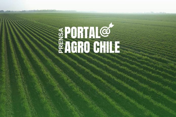 Noticias Prensa Portal Agro Chile