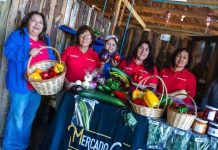 Ñuble avanza en diálogo territorial para una agricultura más sustentable Ñuble avanza en diálogo territorial para una agricultura más sustentable