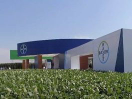 ODECU llama a Bayer a implementar en Chile el acuerdo por Roundup anunciado en EE.UU. ODECU llama a Bayer a implementar en Chile el acuerdo por Roundup anunciado en EE.UU.