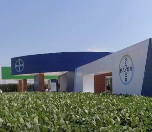 ODECU llama a Bayer a implementar en Chile el acuerdo por Roundup anunciado en EE.UU.