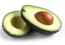 Palta hass se consolida como producto estrella de Colombia: Ahora busca liderar el mercado mundial