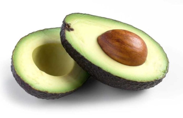 Palta hass se consolida como producto estrella de Colombia: Ahora busca liderar el mercado mundial