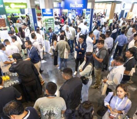 Perú | XXXIX Seminario Internacional Blueberries Lima 2026
