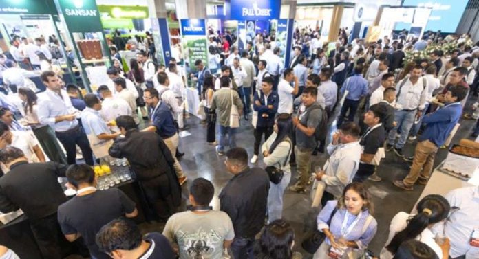 Perú | XXXIX Seminario Internacional Blueberries Lima 2026